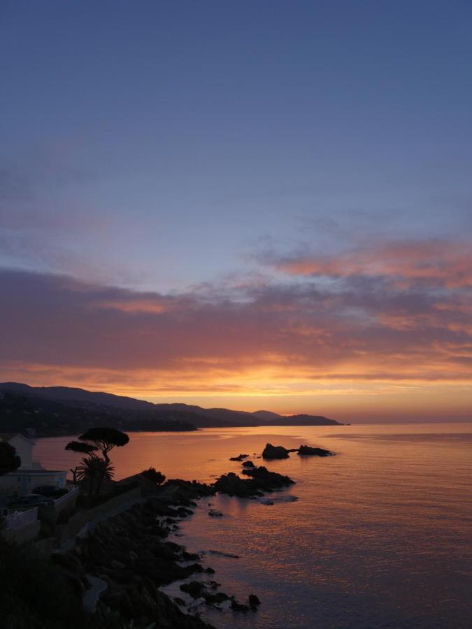 A1 La Plage D'Or Le Lavandou Eksteriør bilde